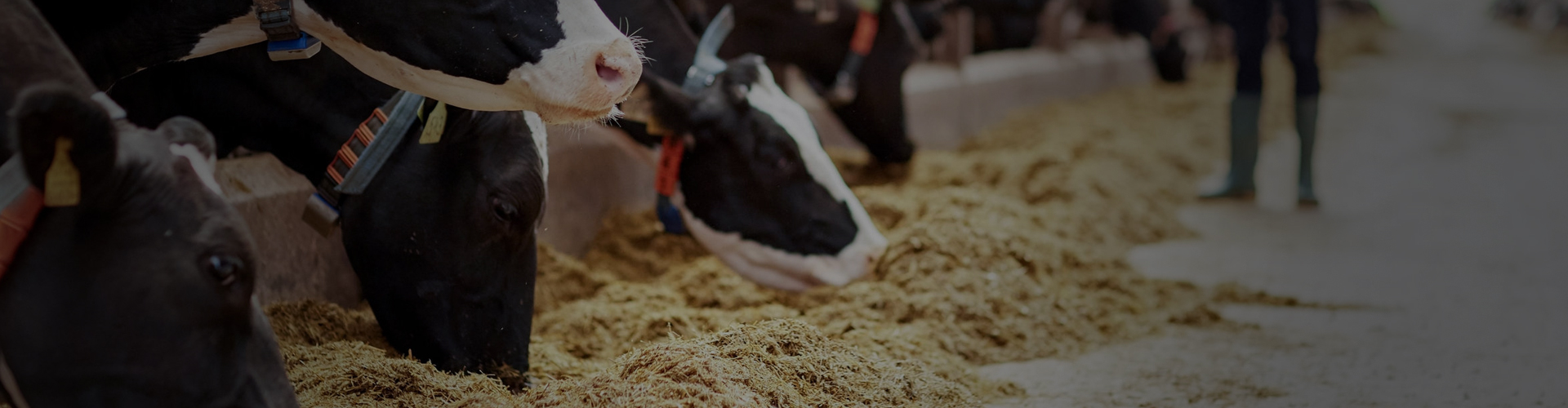 Alfa Technology Agro Vet